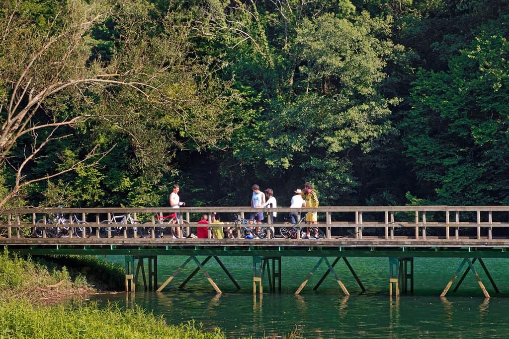 image Cómo es el recorrido de la Senda del Oso Como es el recorrido de la Senda del Oso un sendero de 22 kilometros para conocer lo mejor de Asturias 8