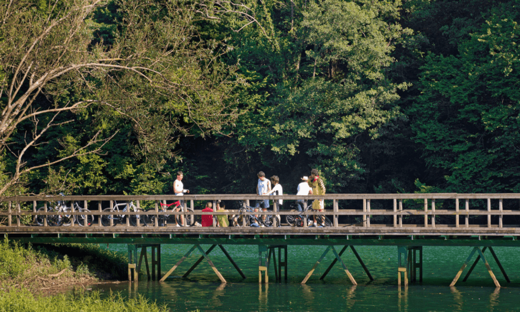 airbnb argentino Viajes image airbnb argentino Como es el recorrido de la Senda del Oso un sendero de 22 kilometros para conocer lo mejor de Asturias como paraiso natural 1