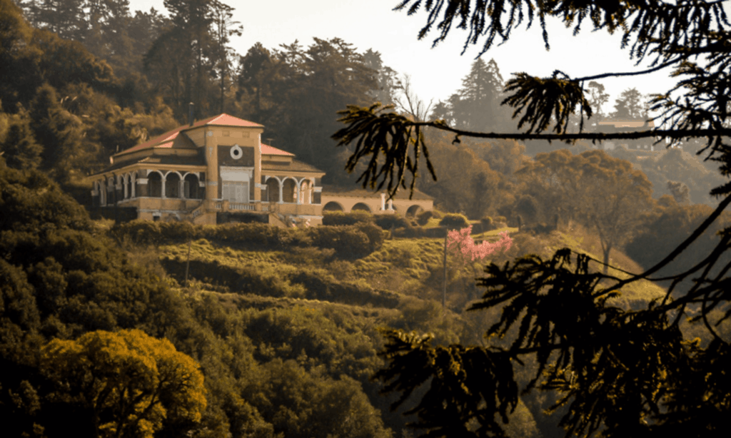 image Pai Como llegar a Villa Nougues una pintoresca villa de estilo neogotico ubicada a 24 kilometros de San Miguel de Tucuman 10