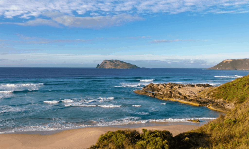 image Pai Esta es la razon por la cual las Islas Chatham de Nueva Zelanda podrian convertirse en un destino furor tras el COVID 19