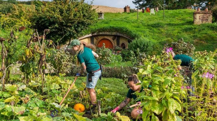 Nueva Zelanda: Hobbiton fue nombrado el mejor lugar para las mariposas