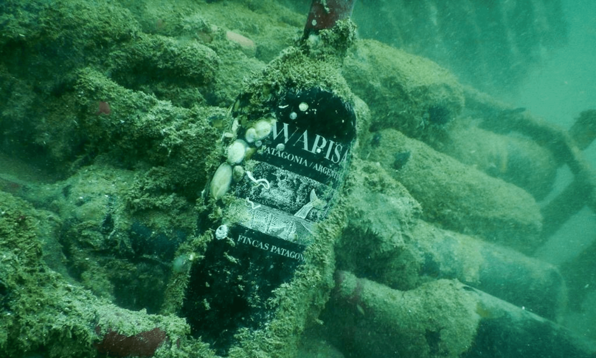 Las Grutas alberga la primera bodega submarina del país y permite degustar vinos añejados en el fondo del océano Atlántico 13