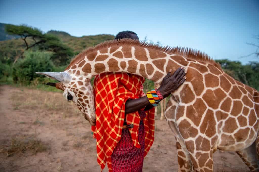 Prints for Nature: El proyecto que reúne a más de 80 fotógrafos de vida silvestre que venderán sus imágenes para recaudar fondos para programas de conservación en todo el mundo