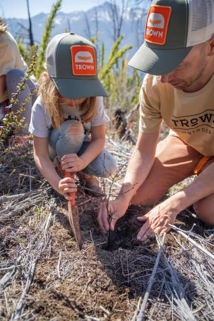 image reforestar árboles afectados Reforestacion