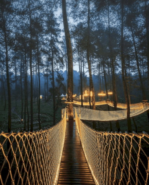 bosque de orquídeas Cikole 