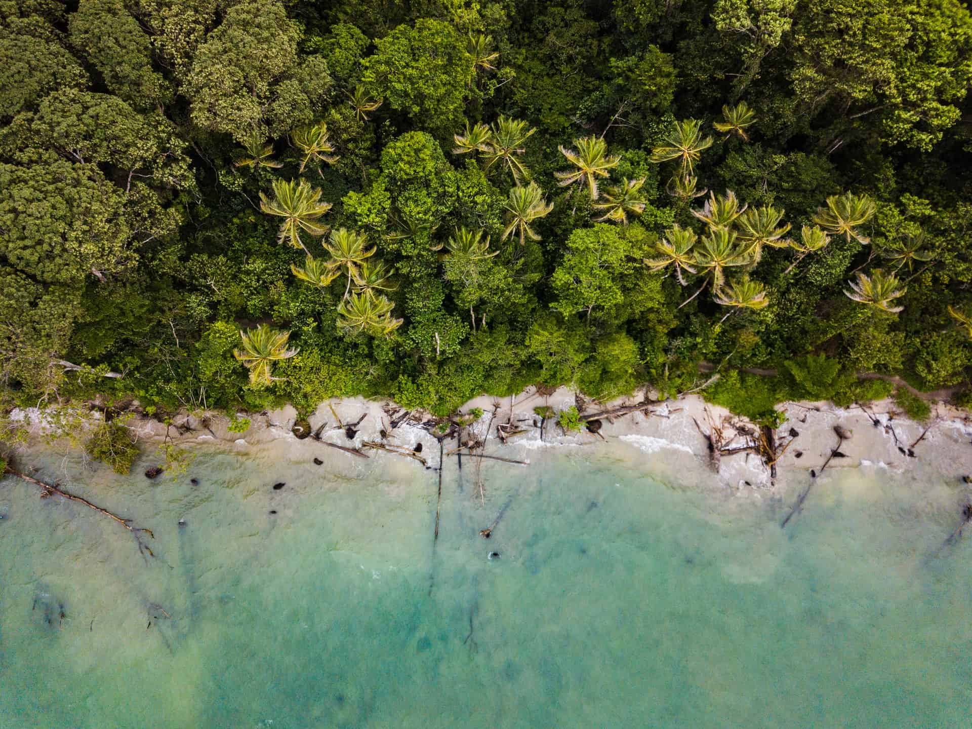 Costa Rica propone a sus turistas disminuir su huella de carbono y contribuir con la economía verde