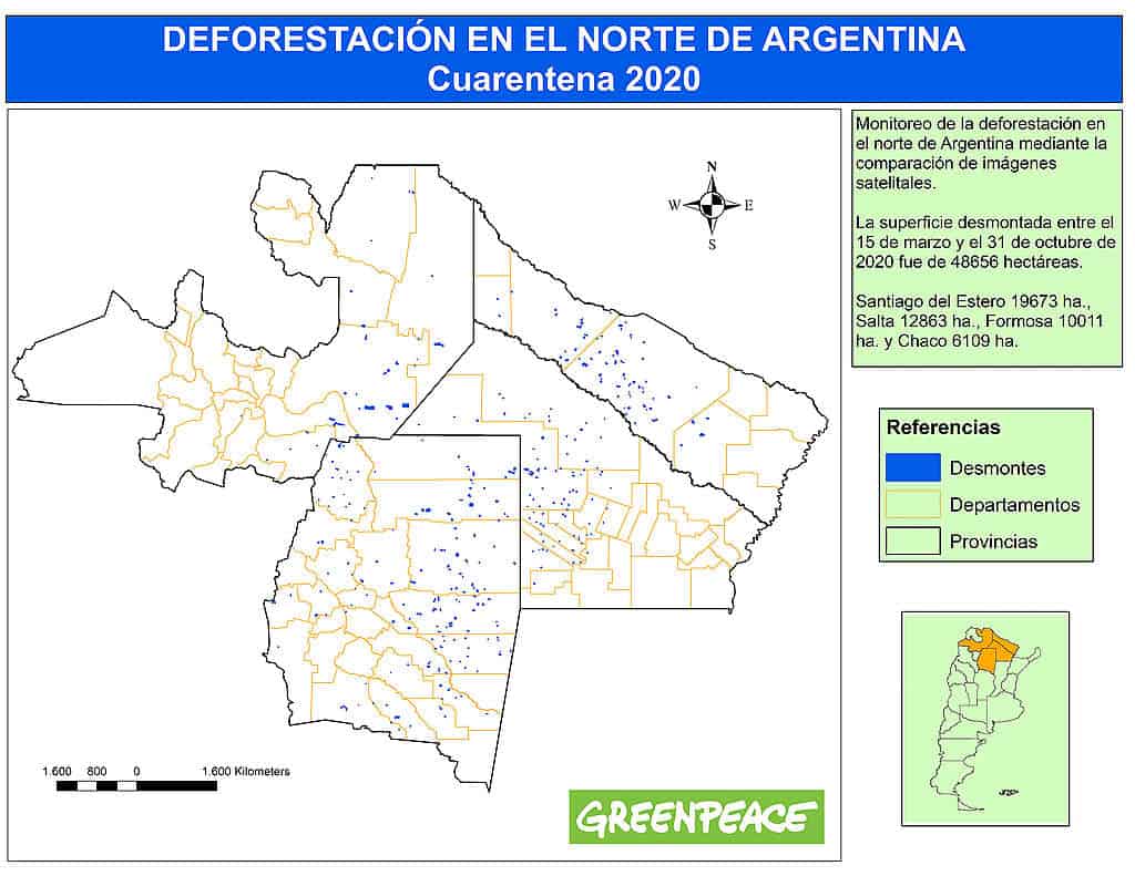 Greenpeace asegura que desde Marzo se deforestaron alrededor de 50000 hectáreas en el norte argentino