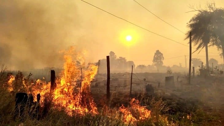 Lograron controlar los incendios de la provincia de Misiones, donde se quemaron alrededor de 100 hectáreas en la Reserva de Biósfera Yabotí