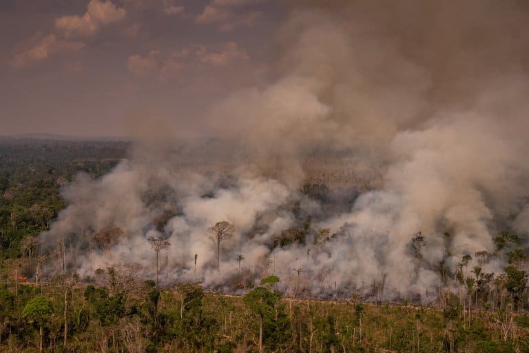 Brasil: en el mes de Octubre aumentaron los incendios en la selva amazónica