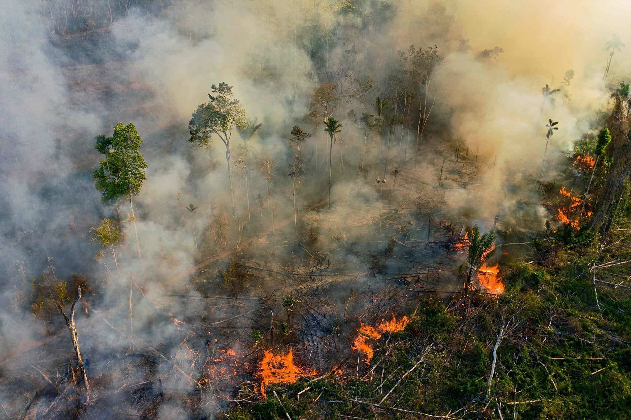 Brasil: en el mes de Octubre aumentaron los incendios en la selva amazónica