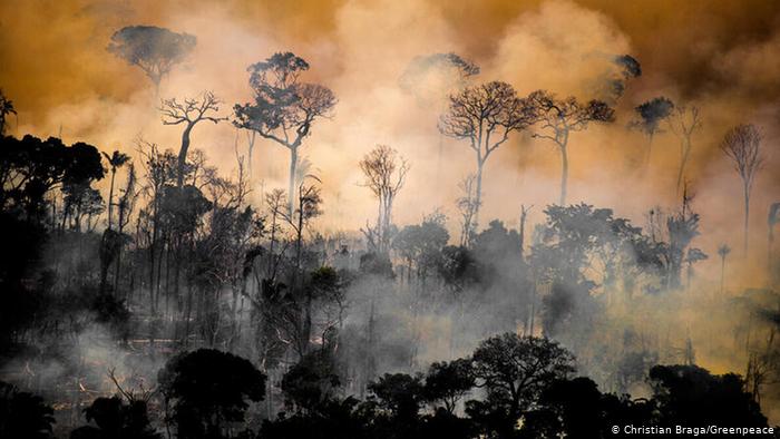 Brasil: en el mes de Octubre aumentaron los incendios en la selva amazónica