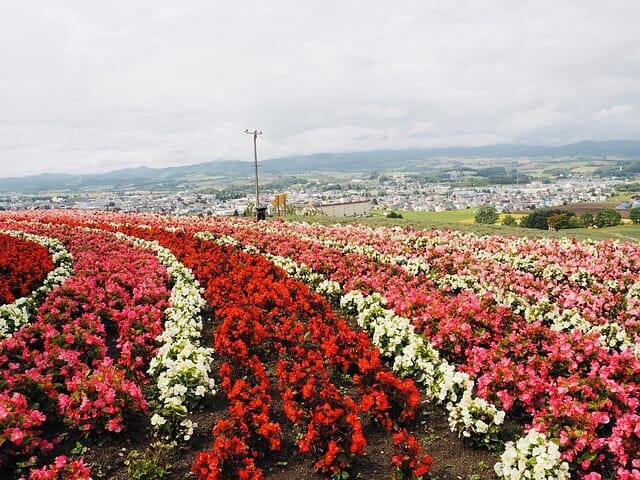 image Furano japan 4516915 640 1