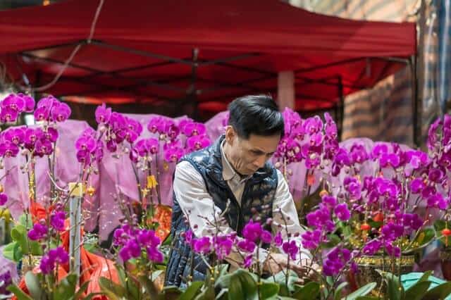 image mercados de flores kelvin yan vacHowacdM4 unsplash 1