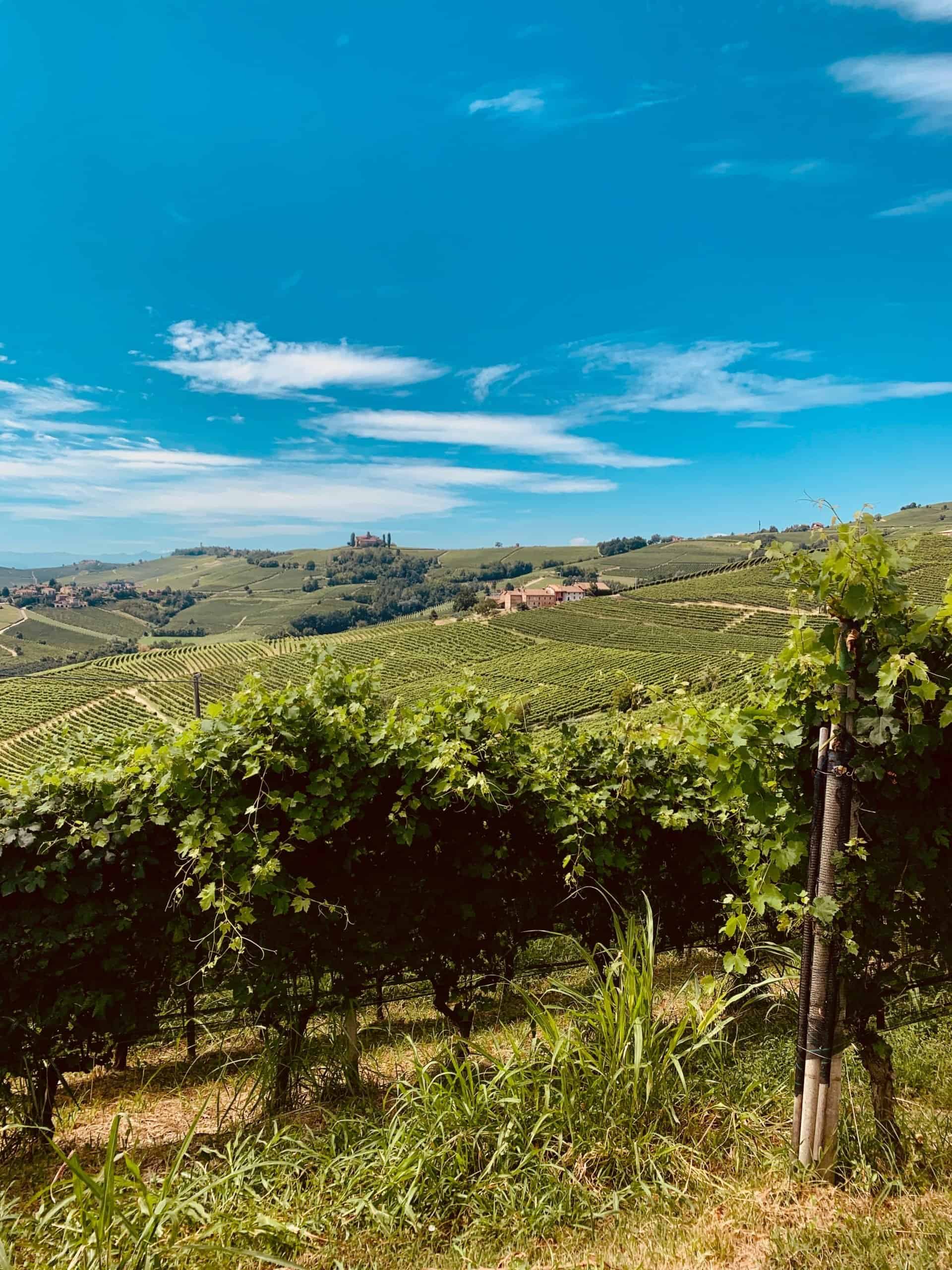 La localidad italiana de Barolo fue elegida como la Ciudad del Vino 2021