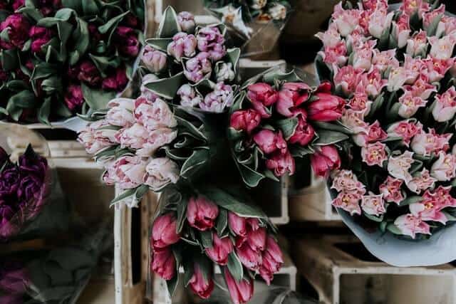 image mercados de flores lucija ros 30uGGkOFj18 unsplash 1