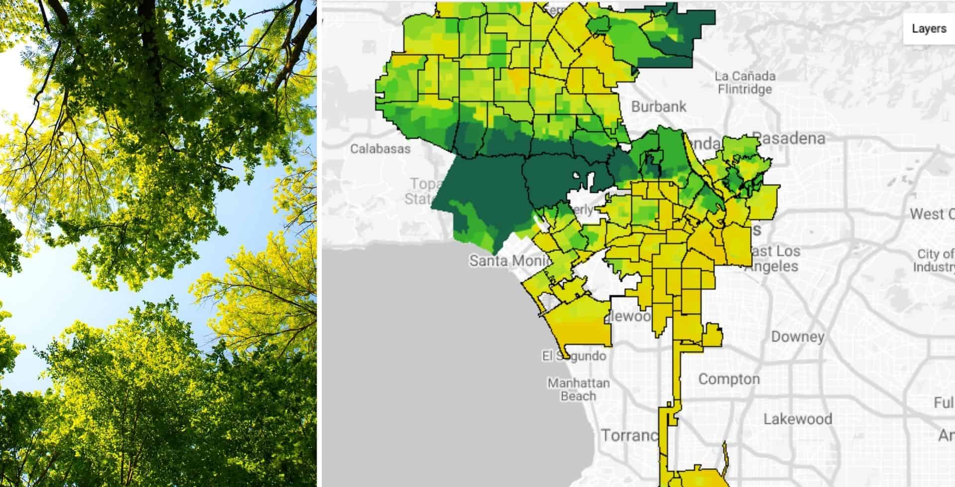 Google está probando una nueva herramienta que permite ver el espacio cubierto de árboles que tienen las ciudades