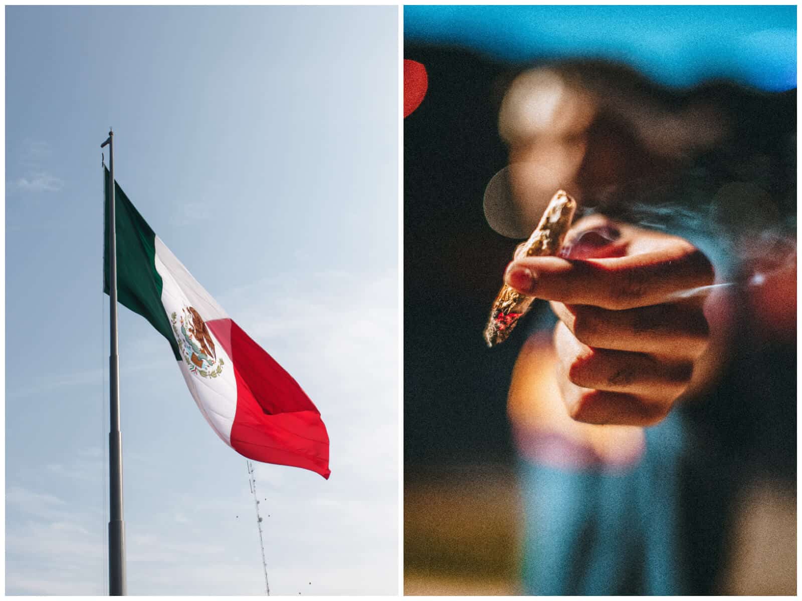 mexico marihuana