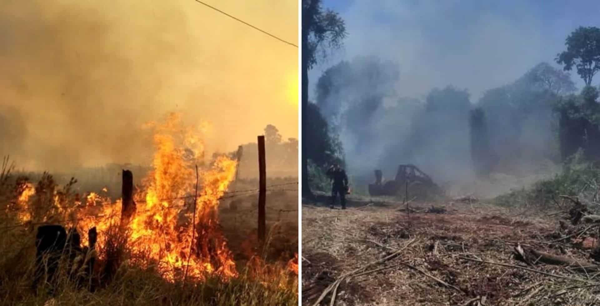 Lograron controlar los incendios de la provincia de Misiones, donde se quemaron alrededor de 100 hectáreas en la Reserva de Biósfera Yabotí