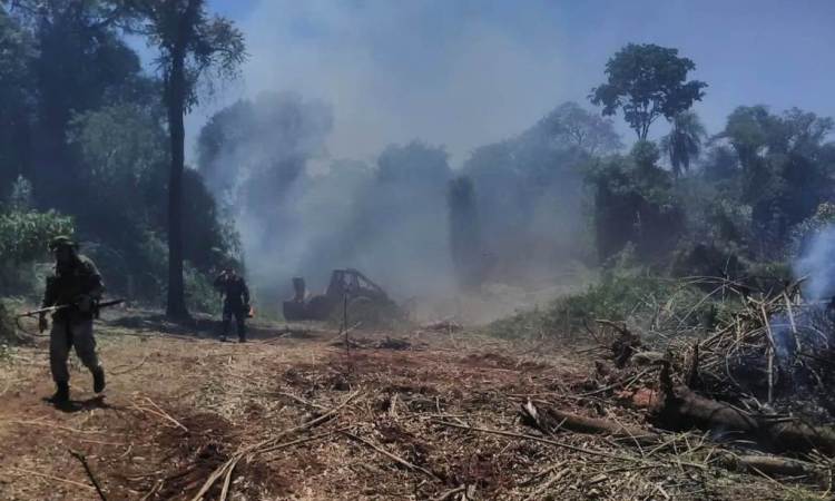 Lograron controlar los incendios de la provincia de Misiones, donde se quemaron alrededor de 100 hectáreas en la Reserva de Biósfera Yabotí