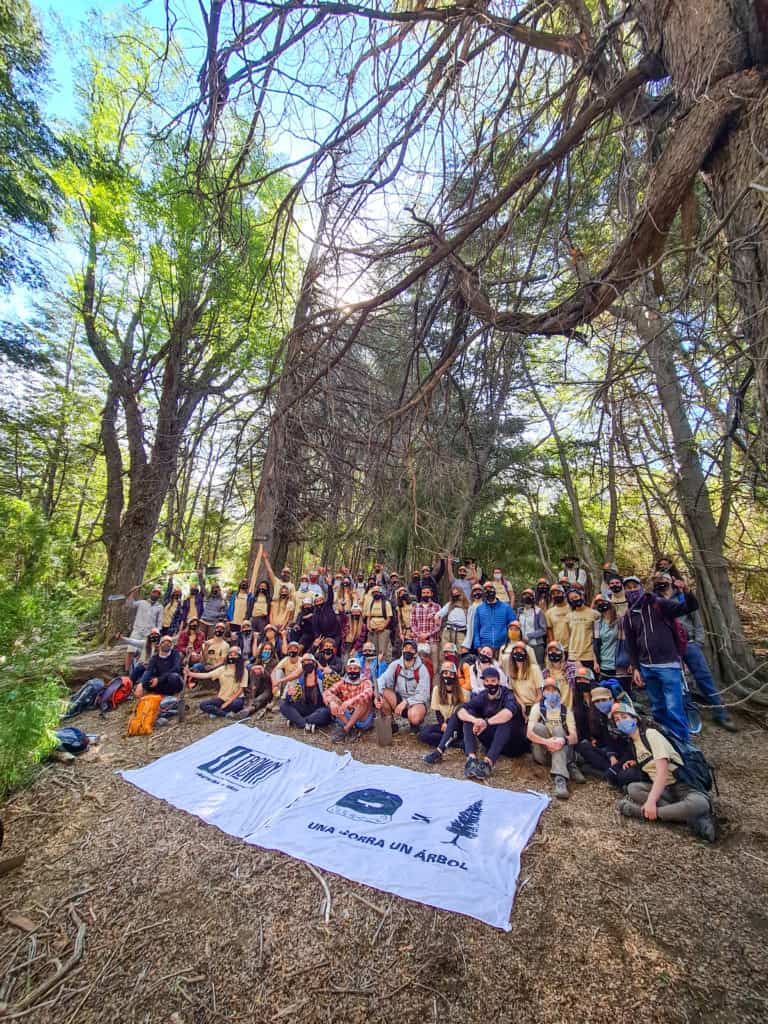 Un grupo de voluntarios viajó a la Patagonia argentina para reforestar árboles afectados por incendios forestales en 1999