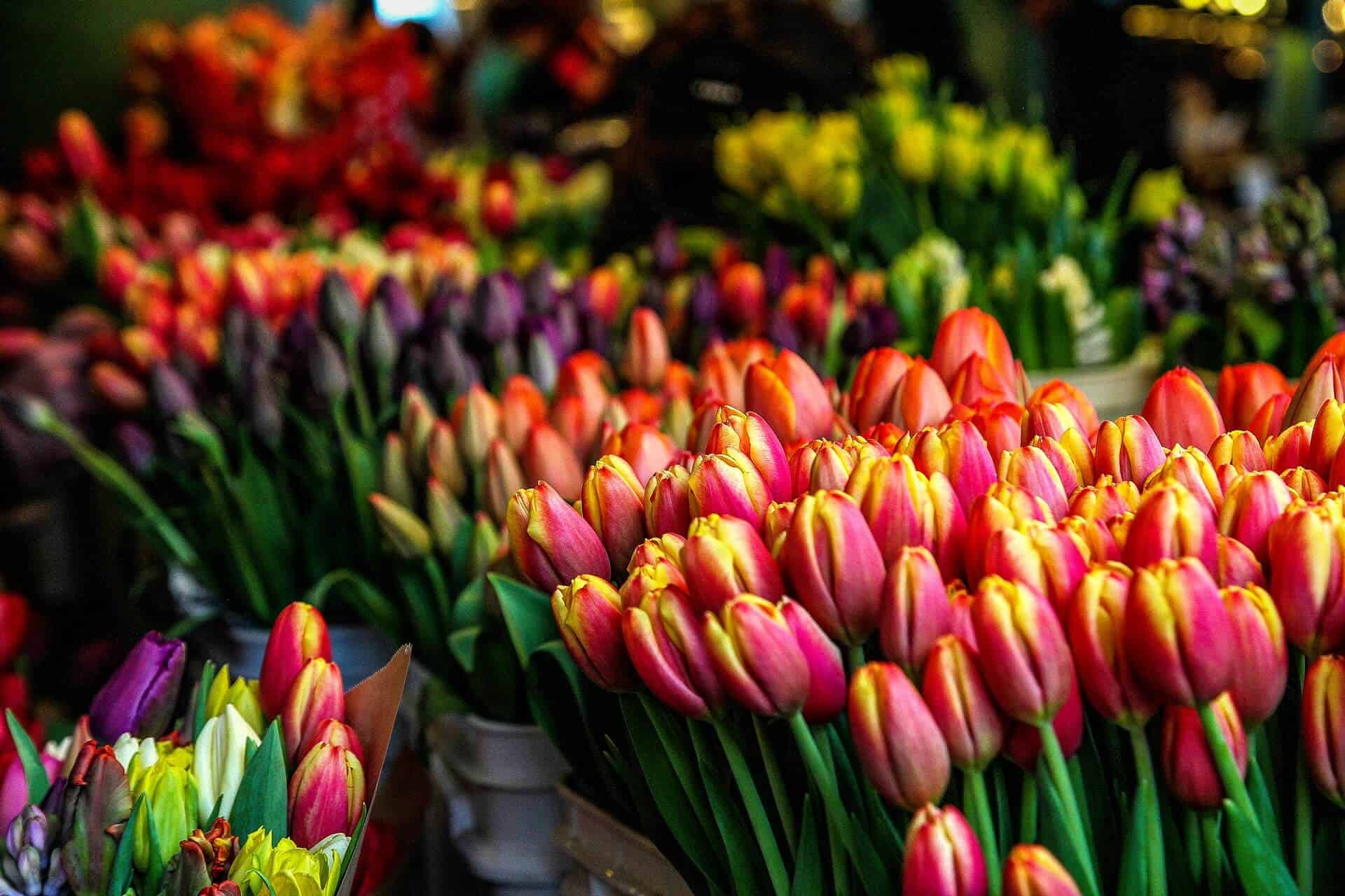 Mercado de flores