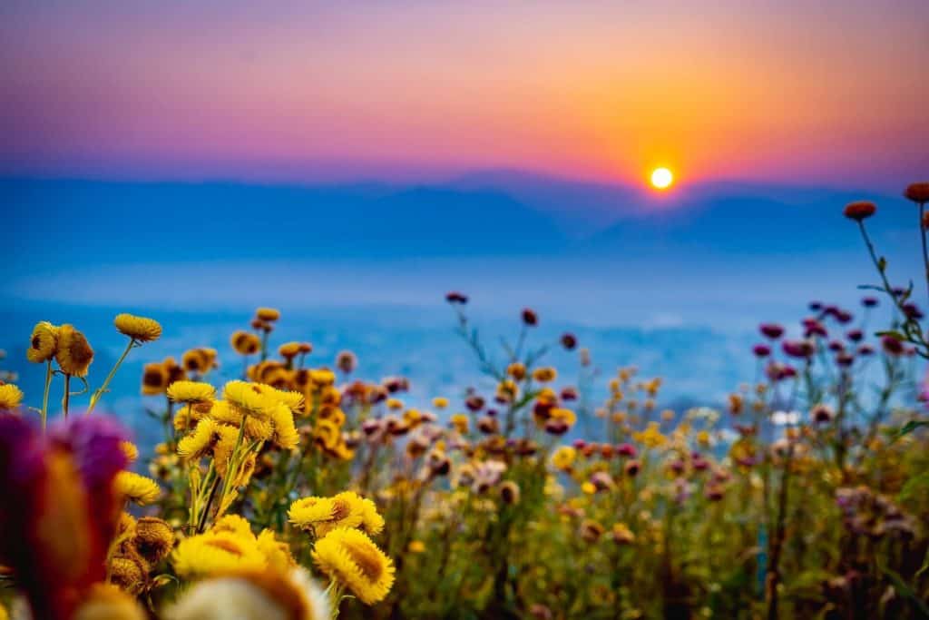 image Pai thailand 4128681 1920 1