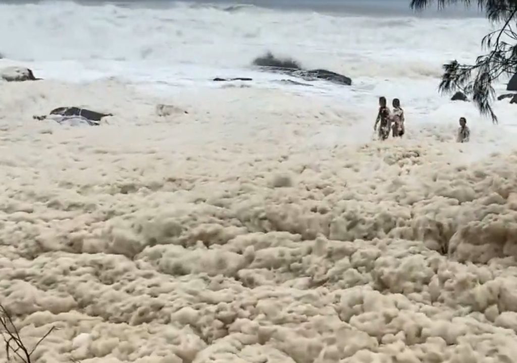 australia La costa del este de Australia cubierta por enormes cantidades de espuma infestada de serpientes marinas image australia 1608526664 The east coast of Australia was invaded by sea foam