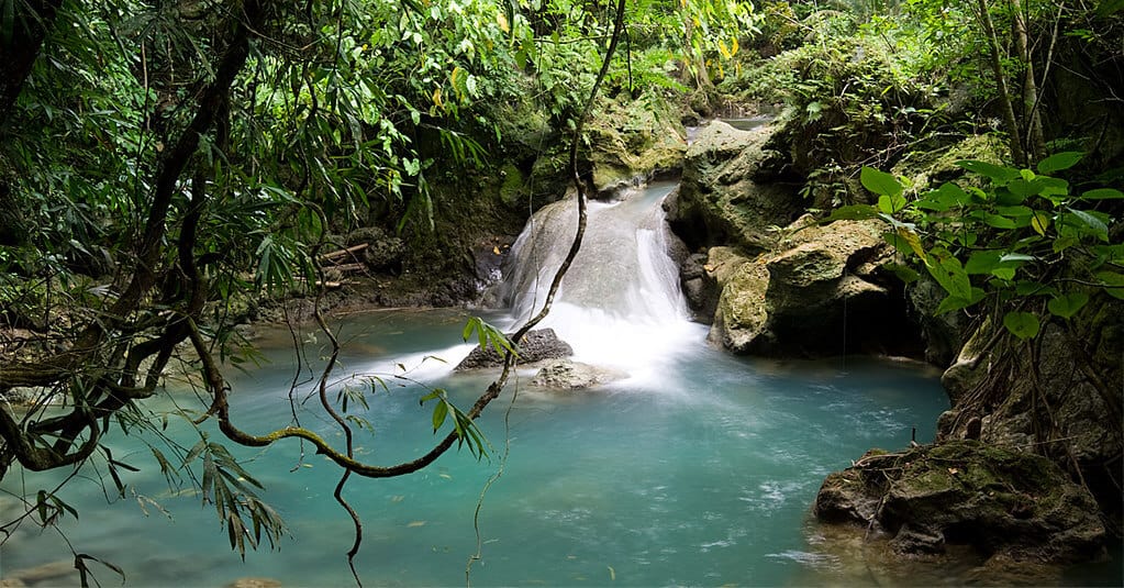 image Kawasan Falls 3426634085 ecbc15255f b 1