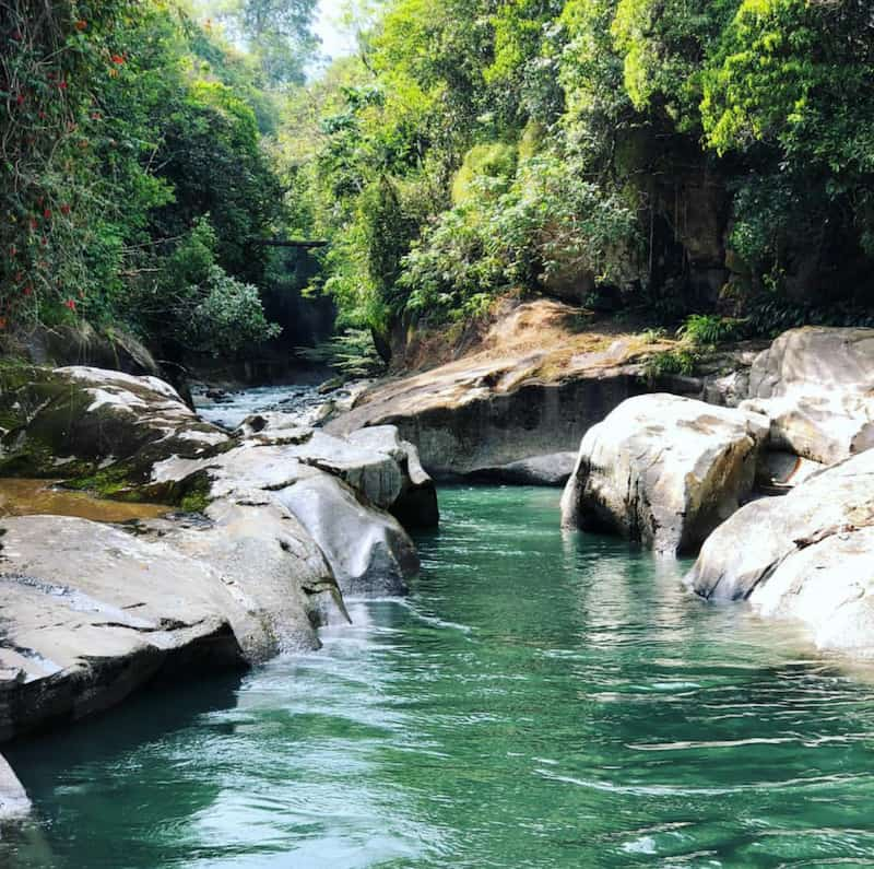 Amazonia-Colombiana