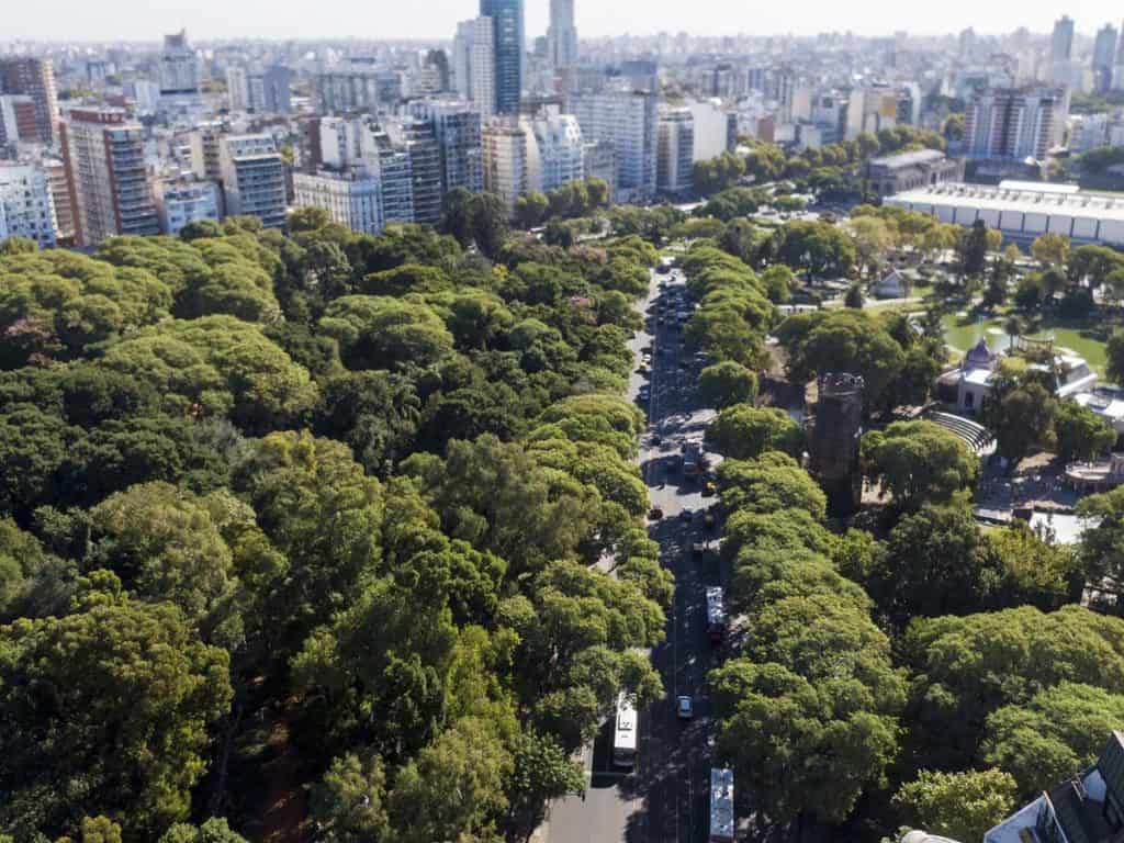 A partir de una nueva ley, la Ciudad de Buenos Aires deberá plantar 100.000 árboles por año