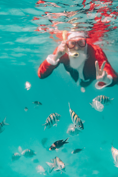 image tradiciones y costumbres navideñas en Aruba Aruba Navidad 2