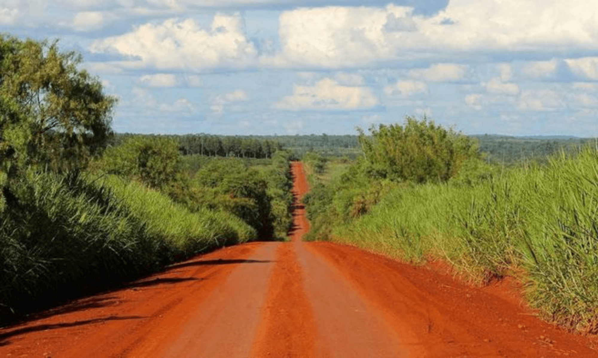 Ruta de la Yerba Mate