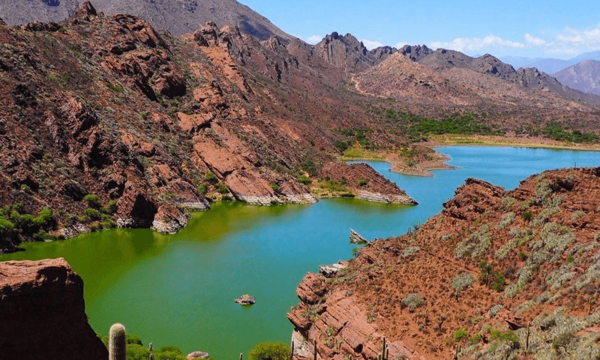 Cómo llegar a la laguna de Brealito, un paraíso natural de Salta situado a unos 20 kilómetros de la Ruta Nacional 40 1