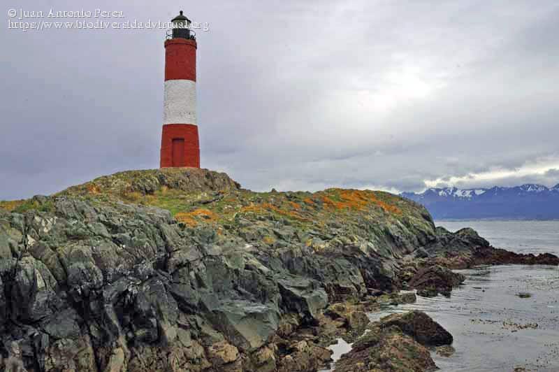 image Les Éclaireurs Faro de San Juan de Salvamento 20504