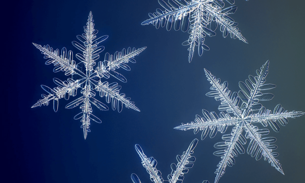 image copos de nieve Fotografo creo una camara especial para capturar copos de nieve en la mas alta resolucion conocida hasta el momento 0