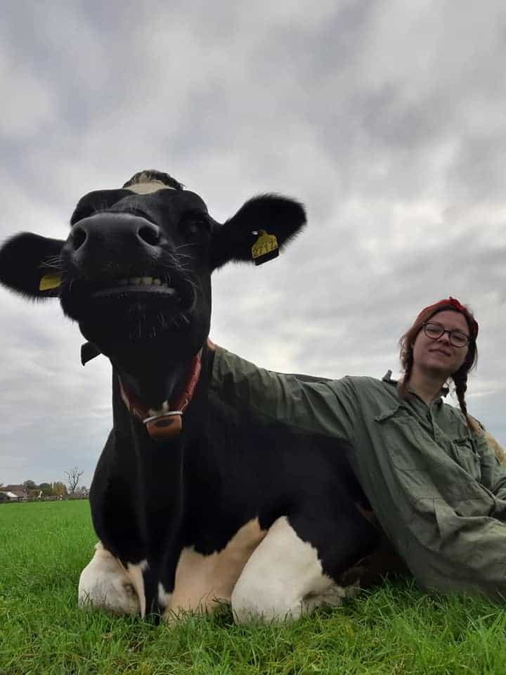 Koe knuffelen: la nueva tendencia holandesa de acariciar vacas que ayuda a liberar altas cantidades de oxitocina