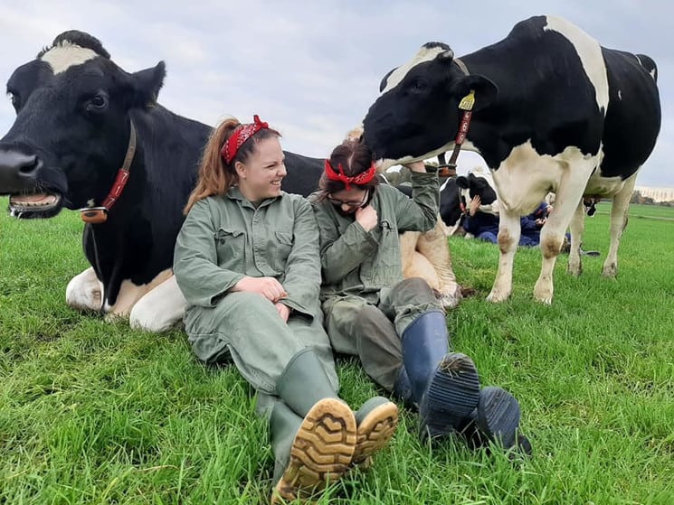 Koe knuffelen: la nueva tendencia holandesa de acariciar vacas que ayuda a liberar altas cantidades de oxitocina