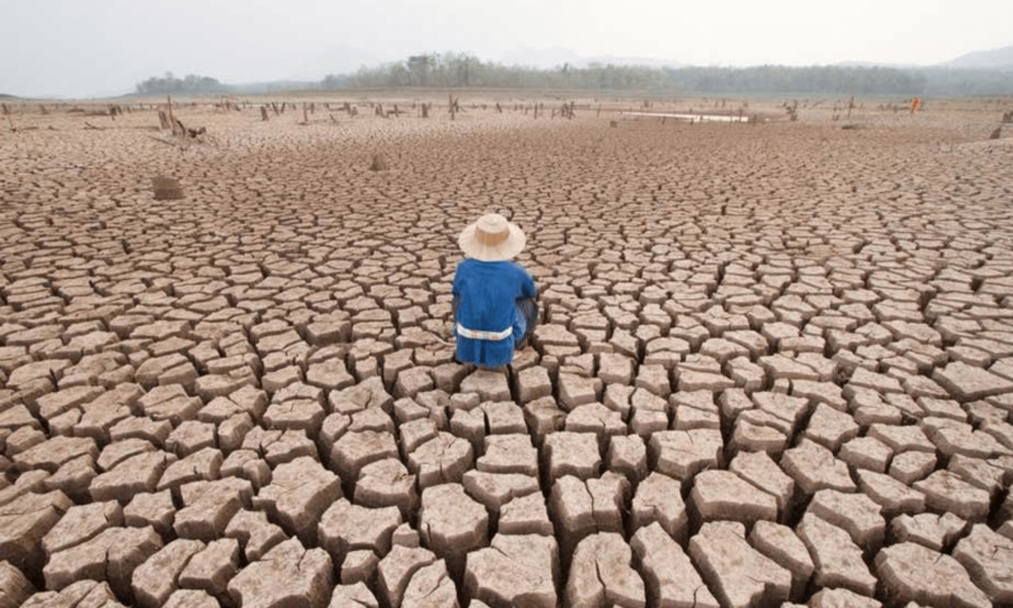 Negligencia política y medio ambiente la emergencia climática no es solo un tema