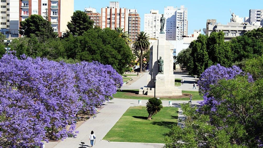 image Ciudad de Buenos Aires arboles buenos aires 3