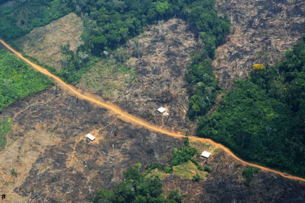 Brasil lanza el Corredor de Biodiversidad de Araguaia, el mayor corredor de reforestación de Sudamérica