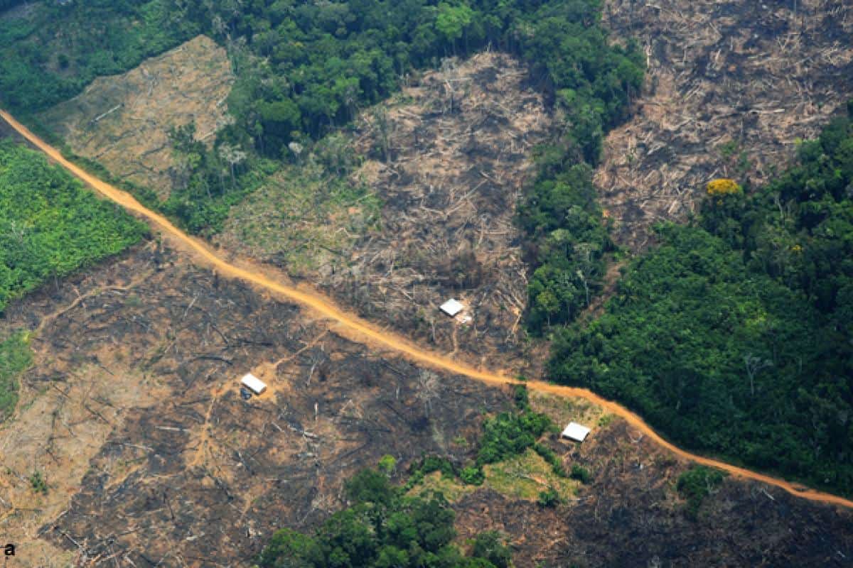 deforestación amazonas