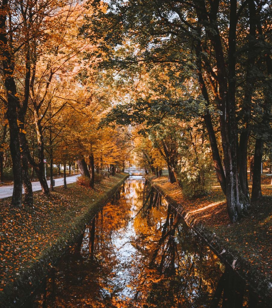 image mejores lugares del mundo para visitar en otoño herr bohn nUj1WS3Skhk unsplash 1