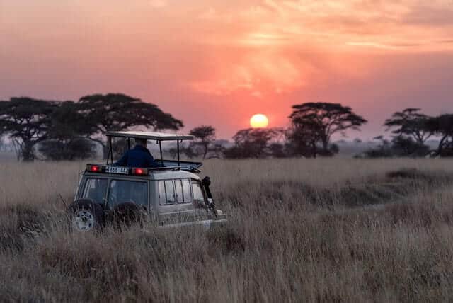 image mejores safaris de África hu chen 0LwfbRtQ ac unsplash 1