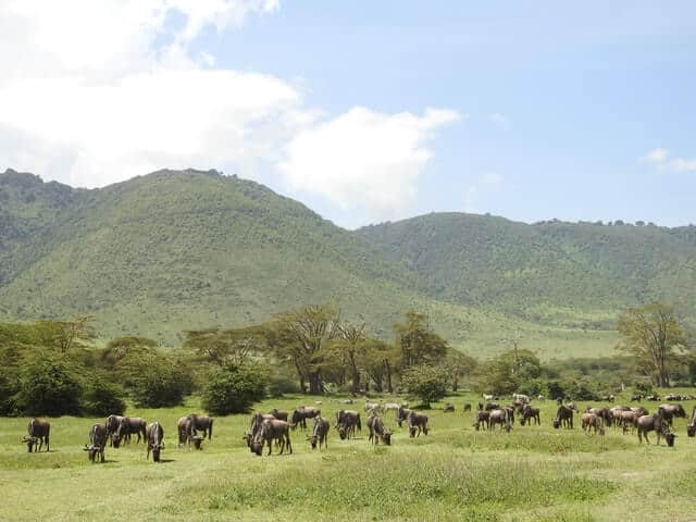 image mejores safaris de África maasai magic K3KS9lKa6ns unsplash 1