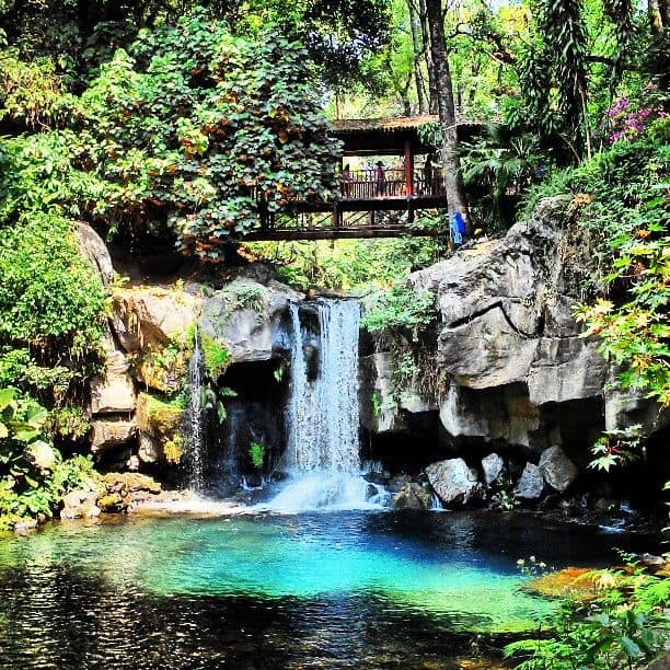 Cómo es por dentro el Parque Nacional de Uruapan, una de las áreas nacionales protegidas más pequeñas de México