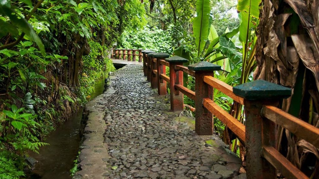 image Parque Nacional de Uruapan parque nacional uruapan 4