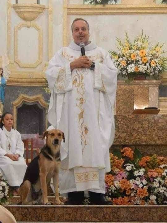 Este sacerdote brasileño lleva perros abandonados a la parroquia para que sean adoptados durante las misas