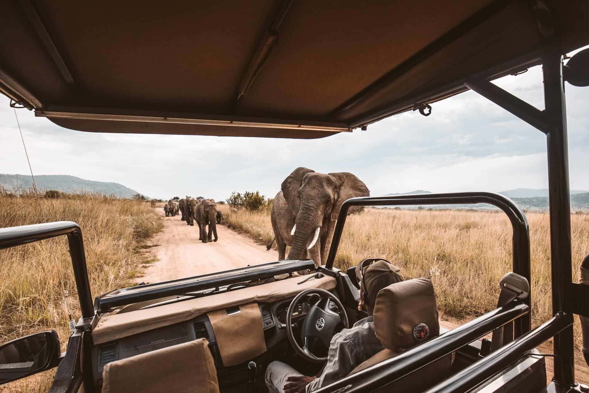 10 mejores safaris de Africa