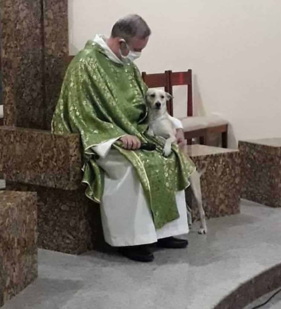 Este sacerdote brasileño lleva perros abandonados a la parroquia para que sean adoptados durante las misas