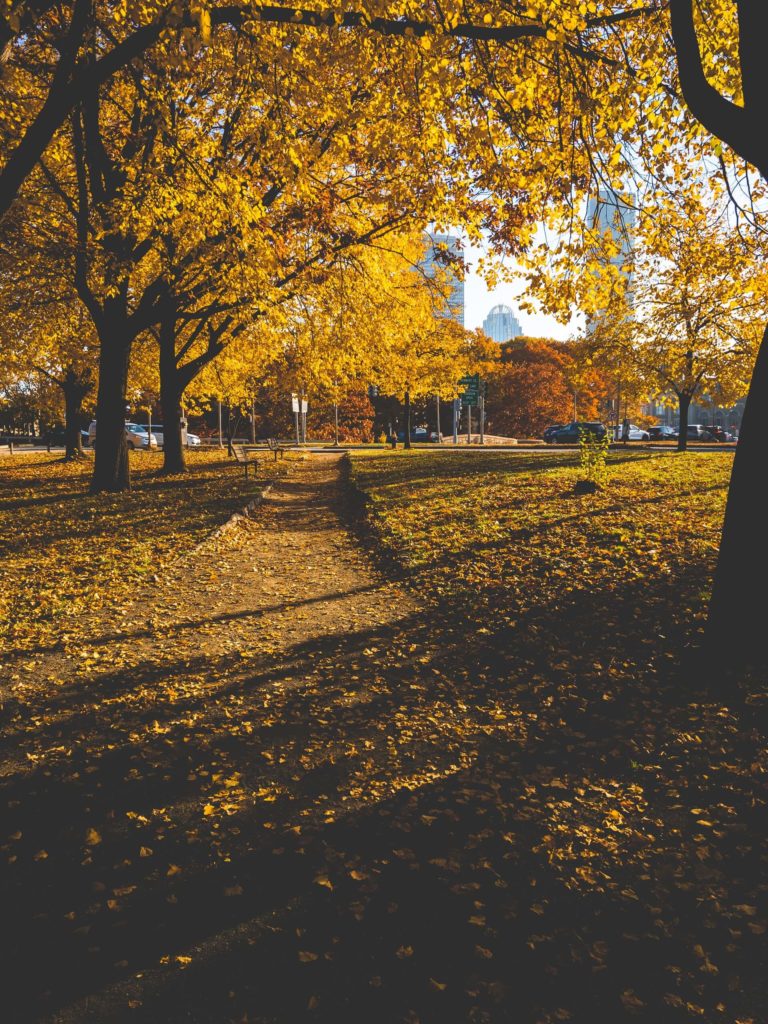 image mejores lugares del mundo para visitar en otoño saurabh johri ZKbxfYhTatI unsplash 1